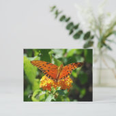 Gulf Fritillary Butterfly Postcard Postkarte (Stehend Vorderseite)