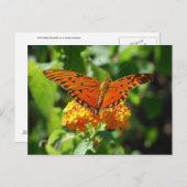 Gulf Fritillary Butterfly Postcard Postkarte (Vorne/Hinten)