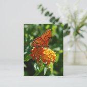 Gulf Fritillary Butterfly Postcard Postkarte (Stehend Vorderseite)