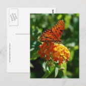 Gulf Fritillary Butterfly Postcard Postkarte (Vorne/Hinten)
