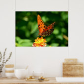 Gulf Fritillary Butterfly Poster (Küche)