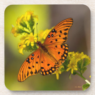 Gulf-Fritillary oder Passionsfalter auf Goldrute Getränkeuntersetzer