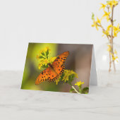 Gulf-Fritillary oder Passionsfalter auf Goldrute Karte (Gelbe Blume)