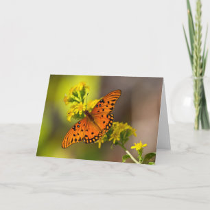 Gulf-Fritillary oder Passionsfalter auf Goldrute Karte