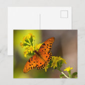 Gulf-Fritillary oder Passionsfalter auf Goldrute Postkarte (Vorne/Hinten)