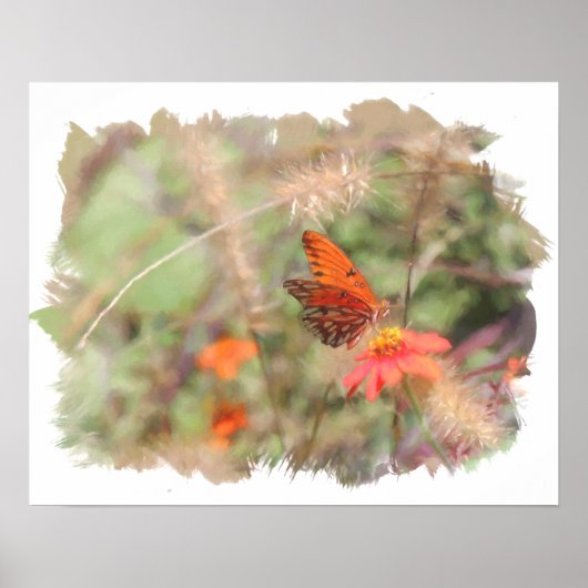 Gulf Fritillon auf Zinnia Aquarelldruck Poster (Vorne)