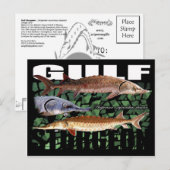 Gulf Sturgeon-Collage-Postcard Postkarte (Vorne/Hinten)