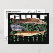 Gulf Sturgeon-Collage-Postcard Postkarte (Vorne/Hinten)