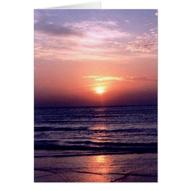 Gulf Sunrise (Vorne)