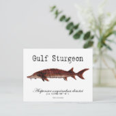 Gulf-White-Postcard Postkarte (Stehend Vorderseite)