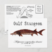 Gulf-White-Postcard Postkarte (Vorne/Hinten)