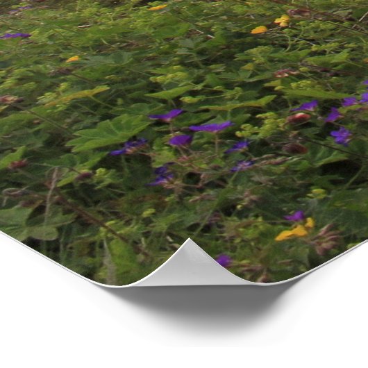 Gulfoss Waterfall Poster (Ecke)