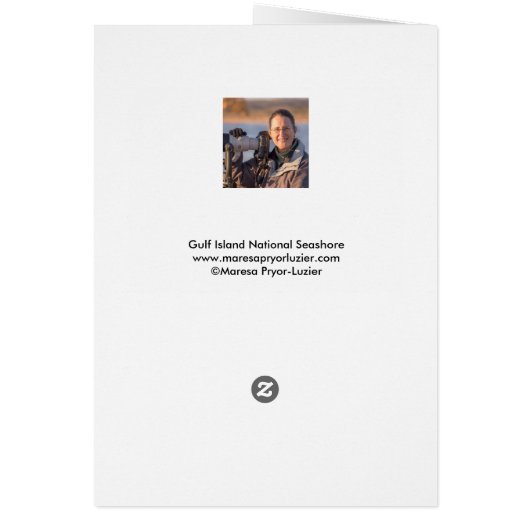 Gulinsel National Seashore Note Card (Hinten)
