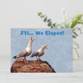 Gull-Ankündigung Wir haben geklaut Ankündigung (Stehend Vorderseite)