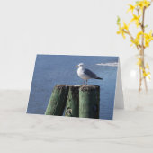 Gull auf Pilings Karte (Gelbe Blume)