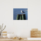 Gull auf Pilings Poster (Küche)