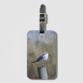 Gull auf Post Gepäckanhänger (Vorderseite Vertikal)