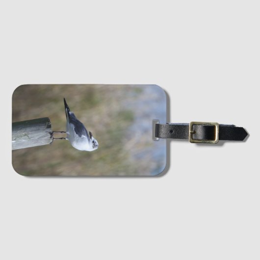 Gull auf Post Gepäckanhänger (Vorderseite (Horizontal))