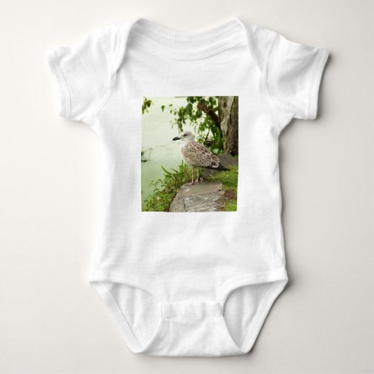 Gull Baby Strampler (Vorderseite)