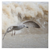Gull Bird Flying Fliese (Vorderseite)