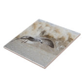 Gull Bird Flying Fliese (Seite)