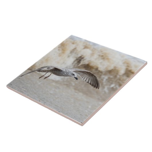 Gull Bird Flying Fliese (Seite)
