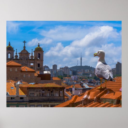 Gull Birds Eye View Rooftops von Portugal Poster (Vorne)