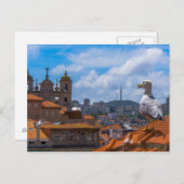 Gull Birds Eye View Rooftops von Portugal Postkarte (Vorne/Hinten)