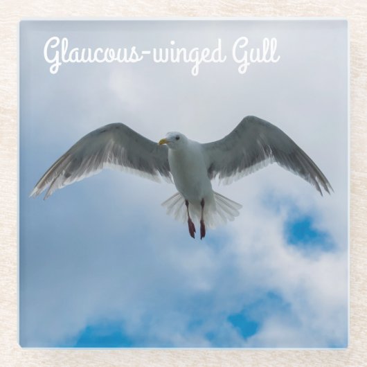 Gull Glasuntersetzer (Vorderseite)