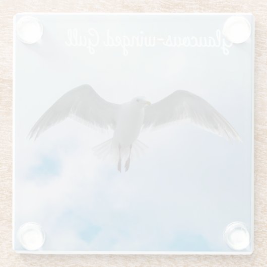 Gull Glasuntersetzer (Rückseite)