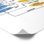 Gull-Identifizierungsdiagramm Poster (Ecke)