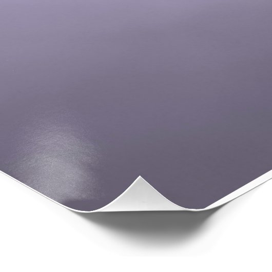 Gull in flight black and white poster (Ecke)