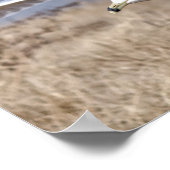 Gull in Flight Poster (Ecke)