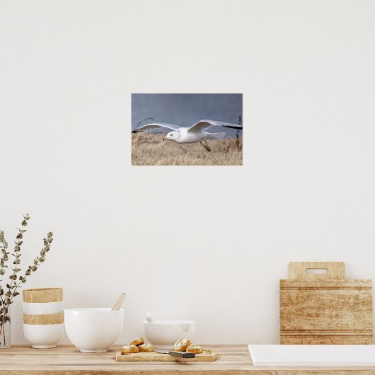 Gull in Flight Poster (Küche)
