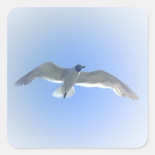 Gull in Flug 2 Aufkleber (Vorderseite)