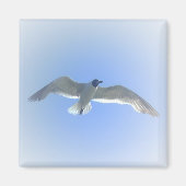 Gull in Flug 2 Magnet (Vorne)