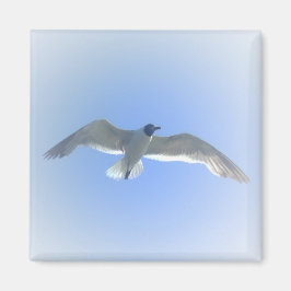 Gull in Flug 2 Magnet