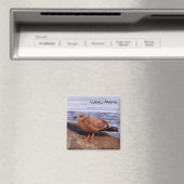 Gull in Lubec, Maine Magnet (In Situ (Geschirrspüler))