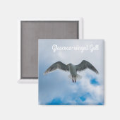 Gull Magnet (Vorderseite/Rückseite)