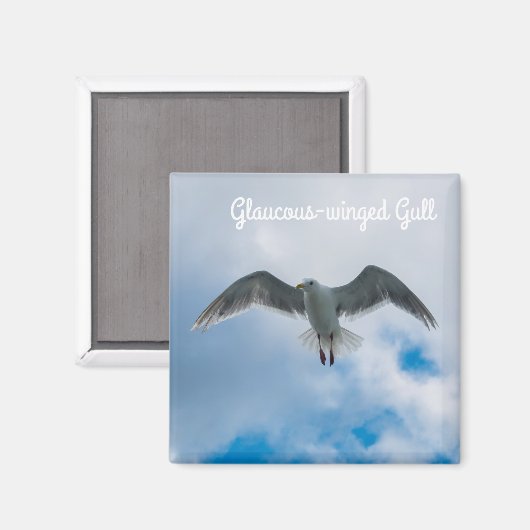 Gull Magnet (Vorderseite/Rückseite)