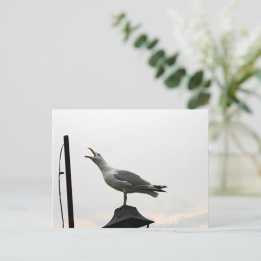 Gull of CT Postkarte (Stehend Vorderseite)