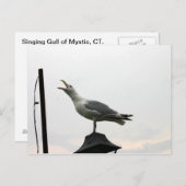 Gull of CT Postkarte (Vorne/Hinten)