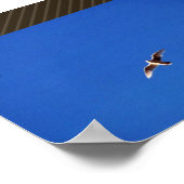 Gull Poster (Ecke)