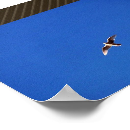 Gull Poster (Ecke)