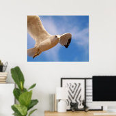 Gull Poster (Heimbüro)