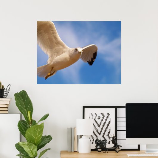 Gull Poster (Heimbüro)
