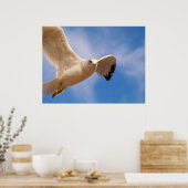 Gull Poster (Küche)