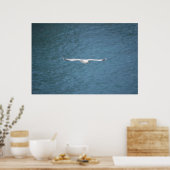 Gull Poster (Küche)