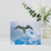 Gull Postkarte (Stehend Vorderseite)
