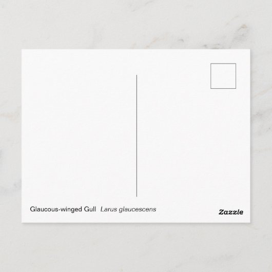 Gull Postkarte (Rückseite)